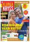 Kluriga kryss nr 2604