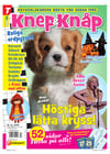Knep och Knåp nr 2612