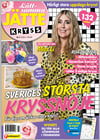 Lättsamma Jättekryss nr 2603