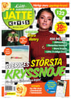 Lättsamma Jättekryss nr 2604