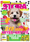 Stora Kryss nr 2502