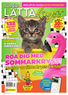 SuperLätta Kryss nr 2604