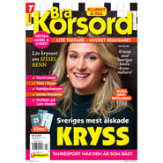 Bra Korsord nr 6-26