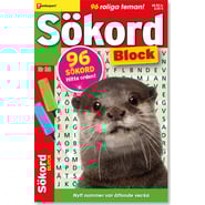 K1S-038-25_1200.png