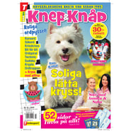 Knep & Knåp nr 10-25