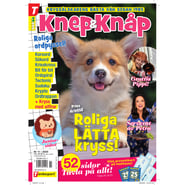 Knep & Knåp nr 11-25