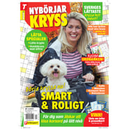 Nybörjarkryss nr 10-25
