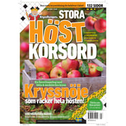 Stora Korsord nr 5-25