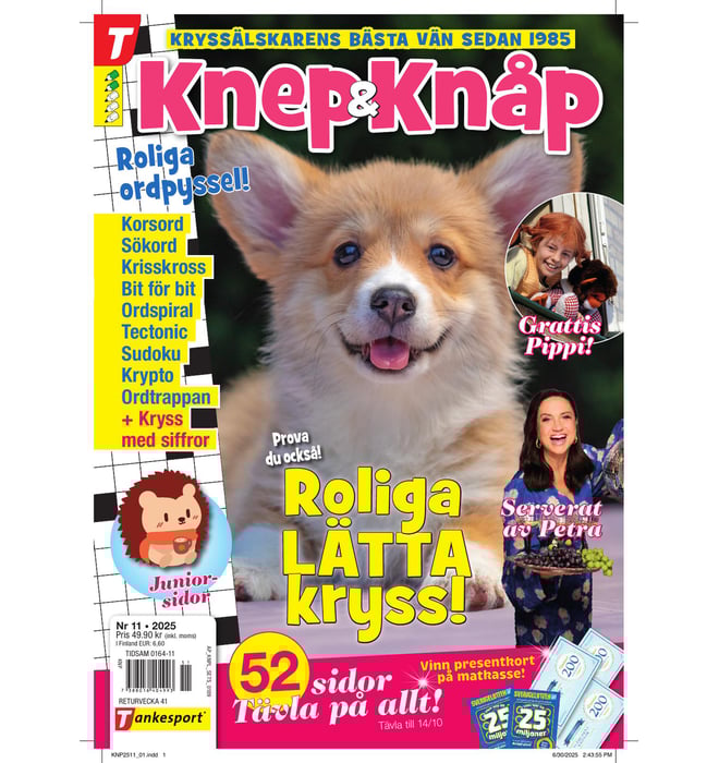 Knep och Knåp