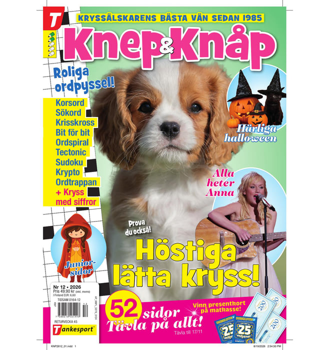 Knep och Knåp