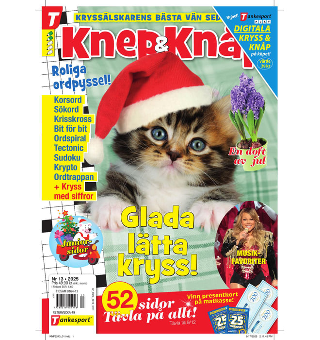 Knep och Knåp nr 2513