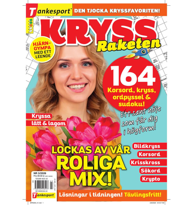 KryssRaketen