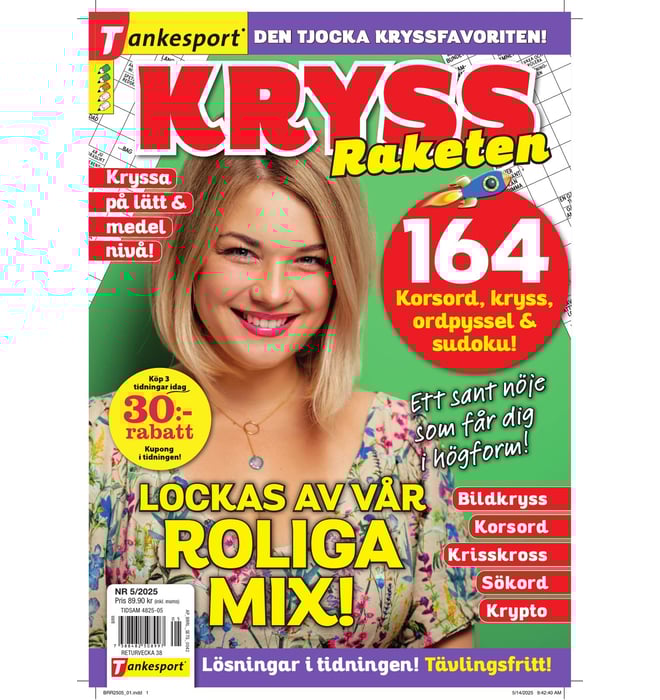 KryssRaketen