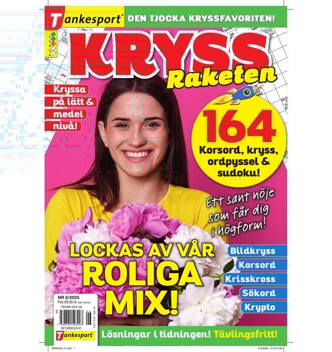 KryssRaketen