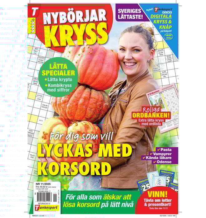 Nybörjarkryss Nybörjarkryss