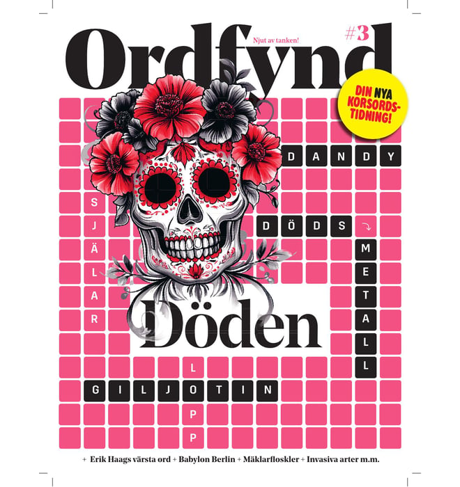 Ordfynd