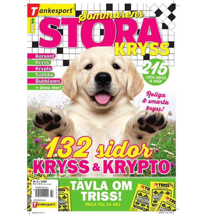 Stora Kryss