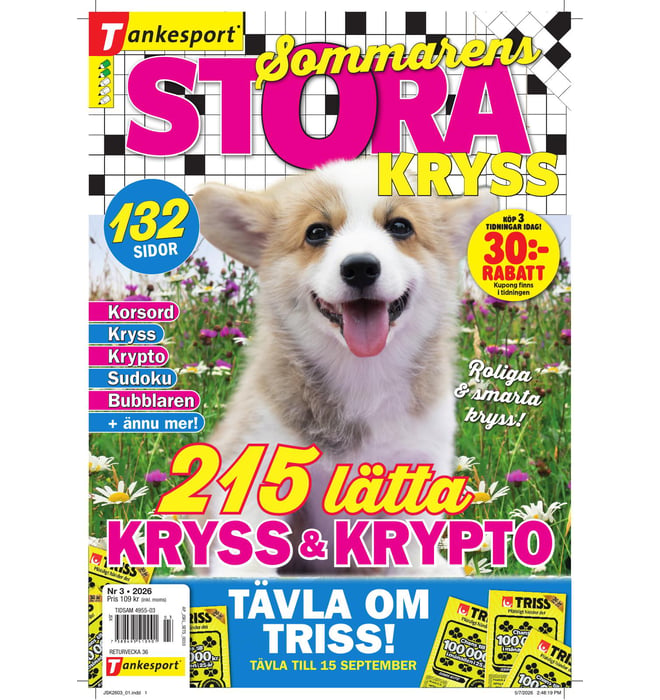 Stora Kryss