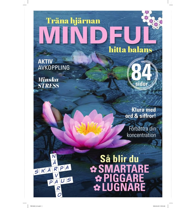 Tankesport Bookazine  nr 2603