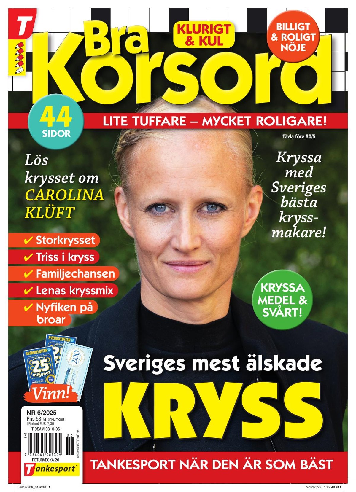 Bra Korsord nr 2506