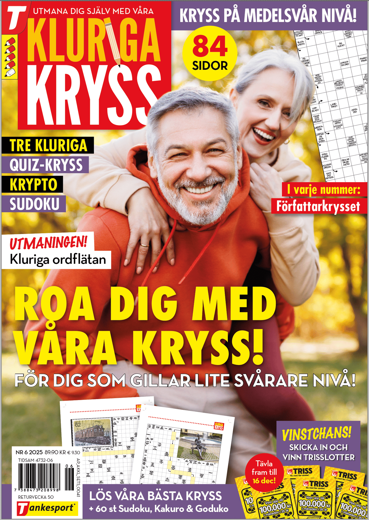 Kluriga kryss nr 2506