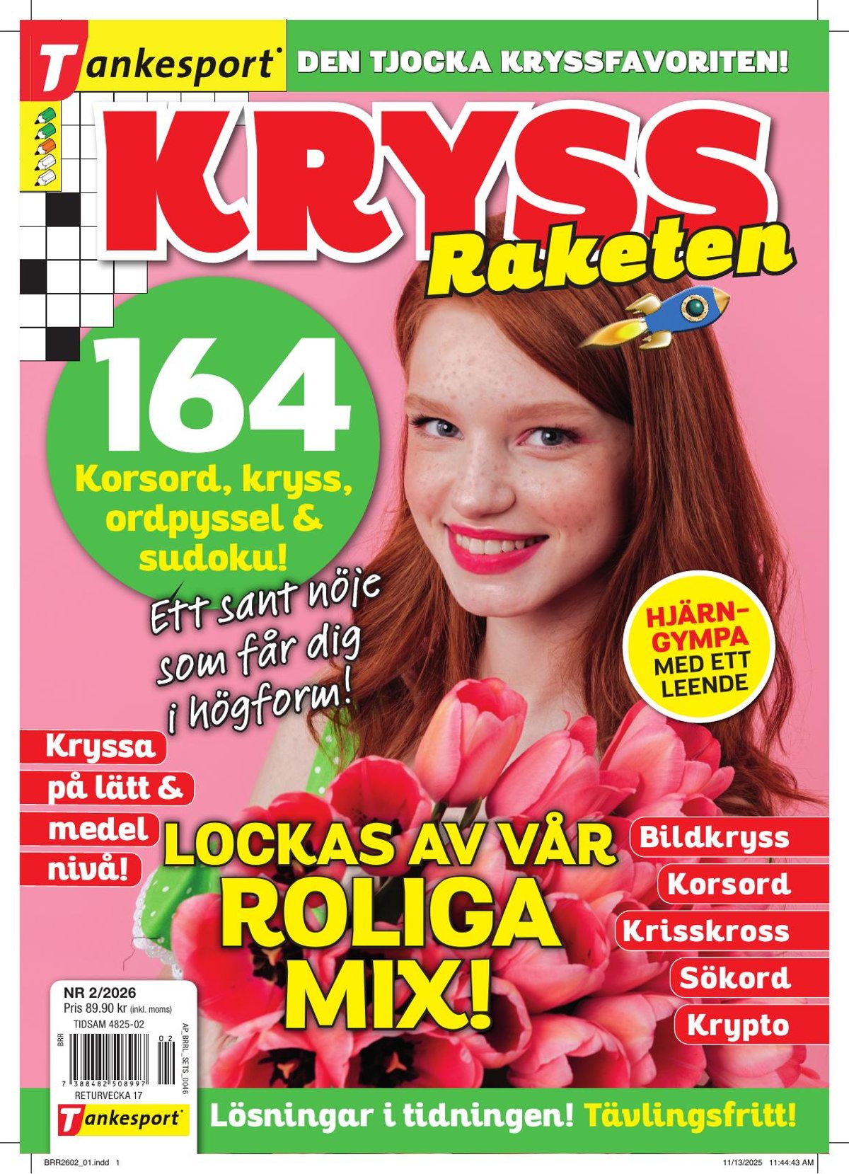 KryssRaketen nr 2602