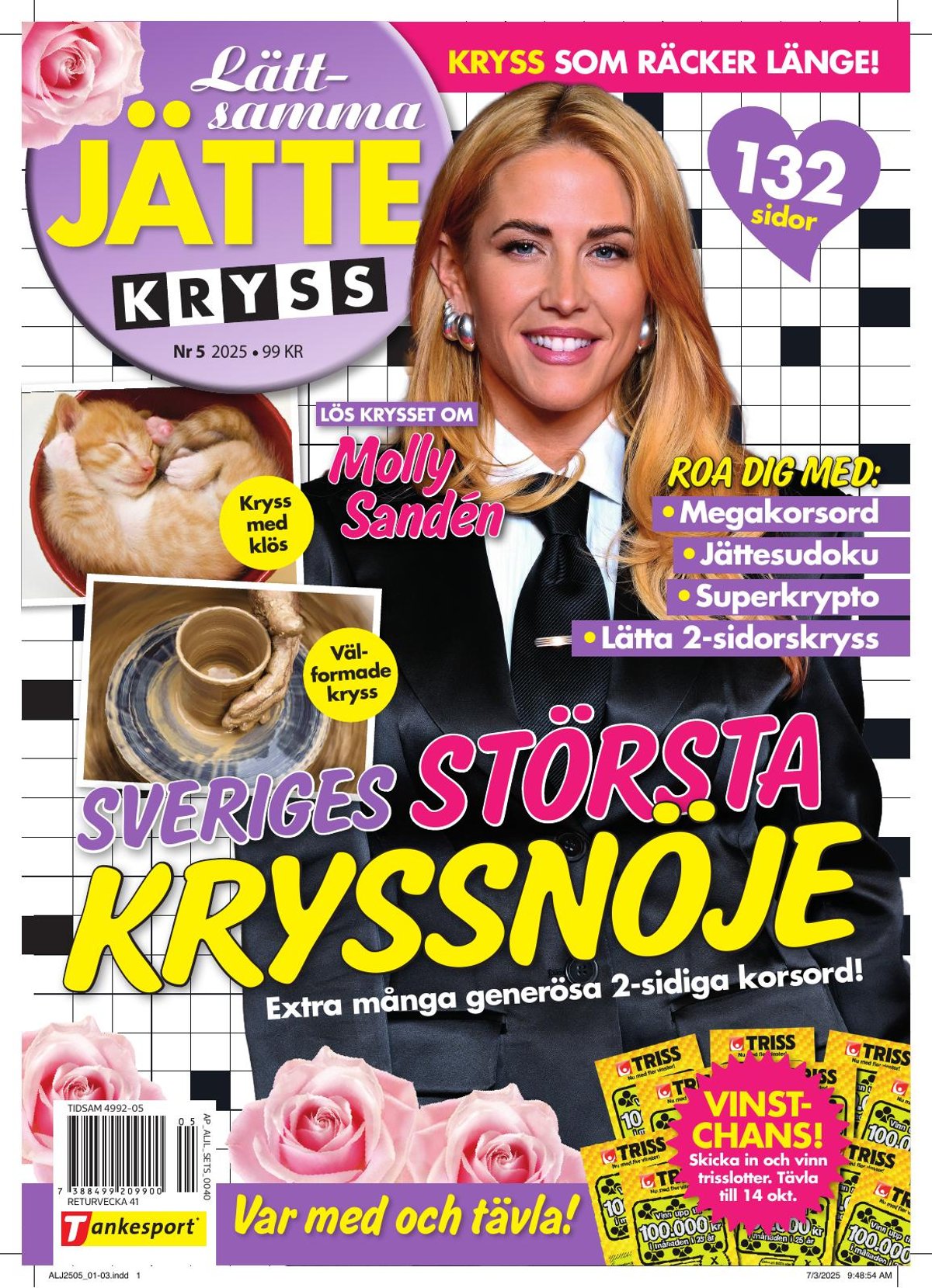 Lättsamma Jättekryss nr 2505