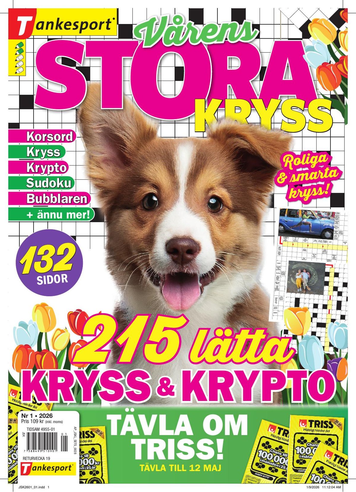 Stora Kryss nr 2601