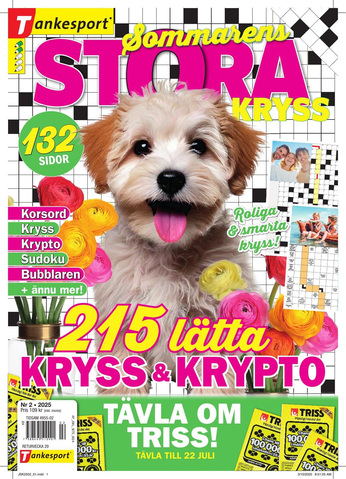 Stora Kryss nr 2502