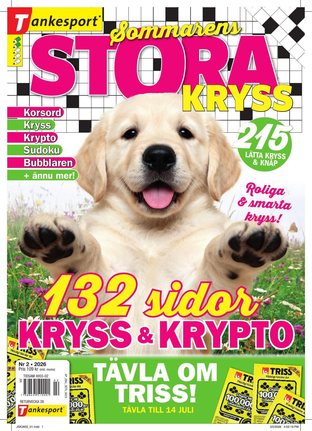 Stora Kryss nr 2602