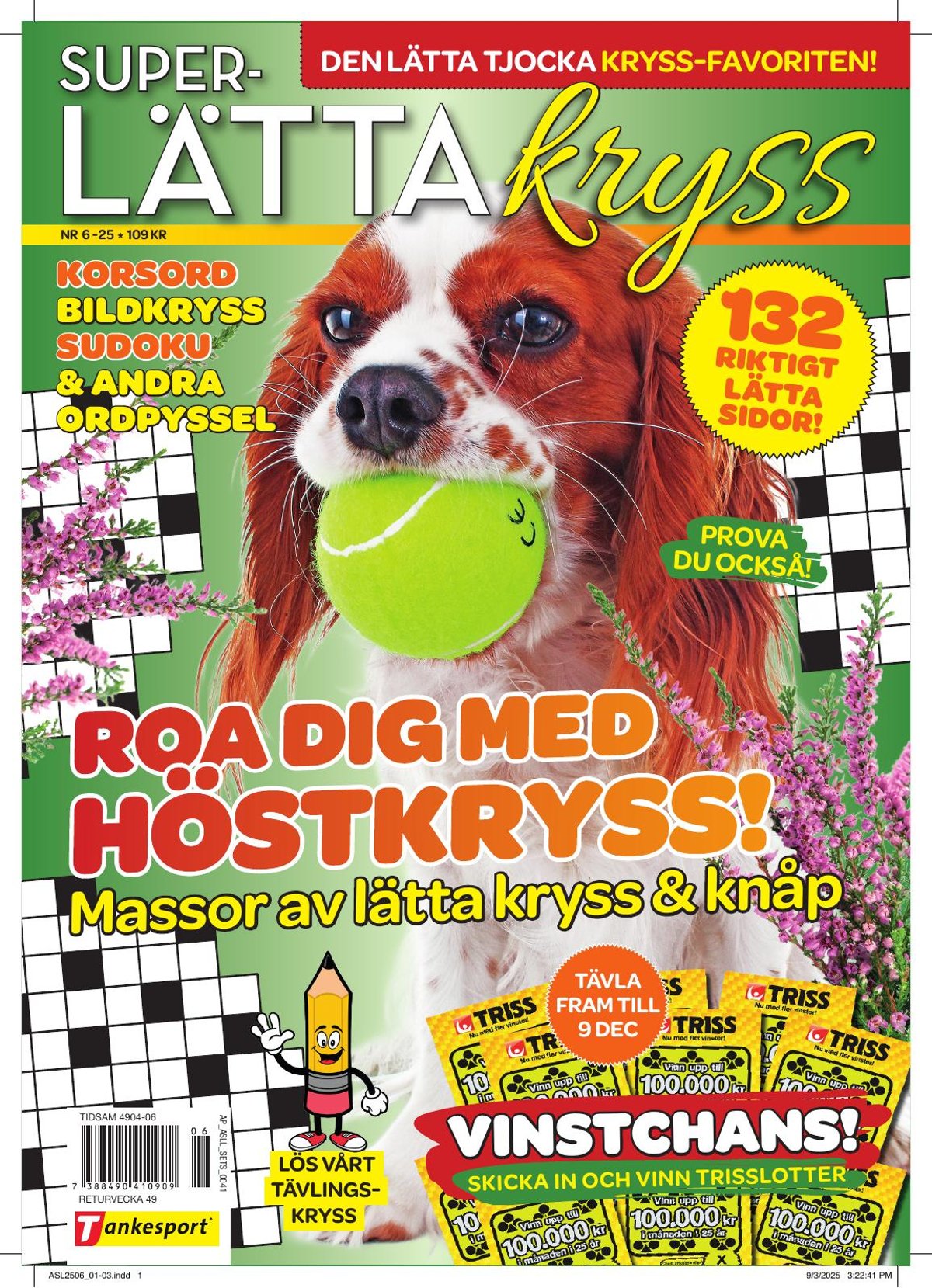 SuperLätta Kryss nr 2506