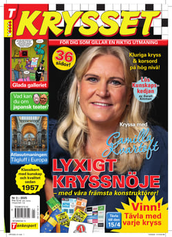 Krysset nr 3-25