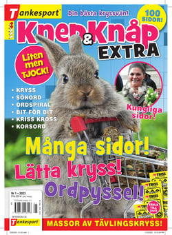 Knep & Knåp Extra - nr 1